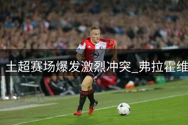 土超赛场爆发激烈冲突 弗拉霍维奇与什克互不相让
